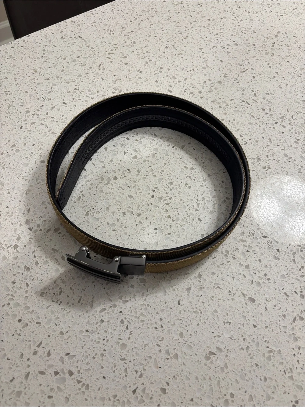 Tan Canvas Belt with Polished Gunmetal Buckle